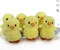 6 Mini 5" Chicks Perfect for Baby Showers, Easter and Collectors